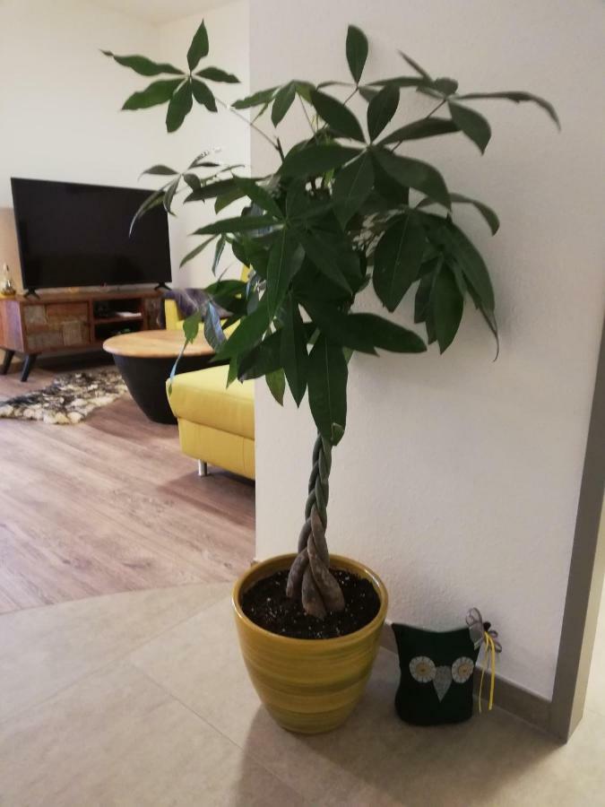 Apartament Schmaranzer Bad Ischl Zewnętrze zdjęcie