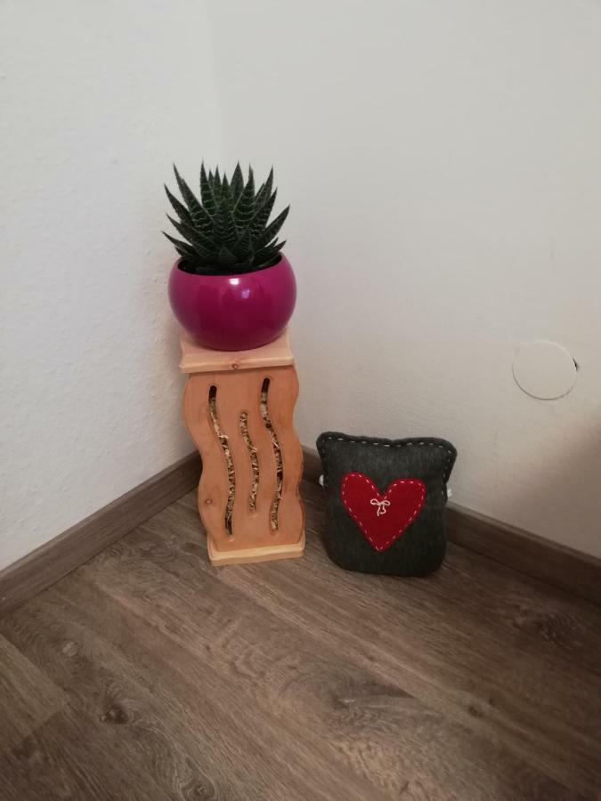 Apartament Schmaranzer Bad Ischl Zewnętrze zdjęcie